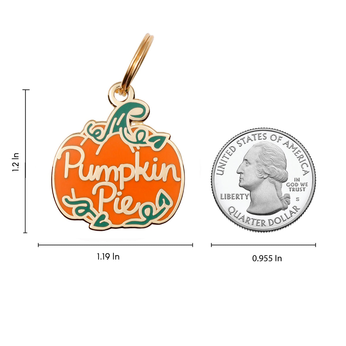 Pumpkin Pie Pet ID Tag – Two Tails Pet Company