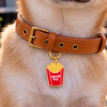Small Fry Pet ID Tag