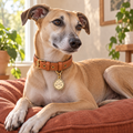 Smiling Sun Pet ID Tag