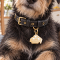 Stinkin' Cute Pet ID Tag
