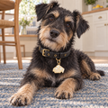 Stinkin' Cute Pet ID Tag