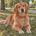 Sunflower Pet ID Tag