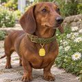 Sweeter than Honey Pet ID Tag
