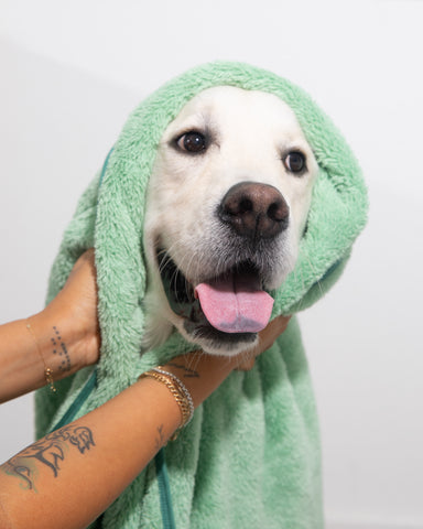 Pet N' Dry Microfiber Towels
