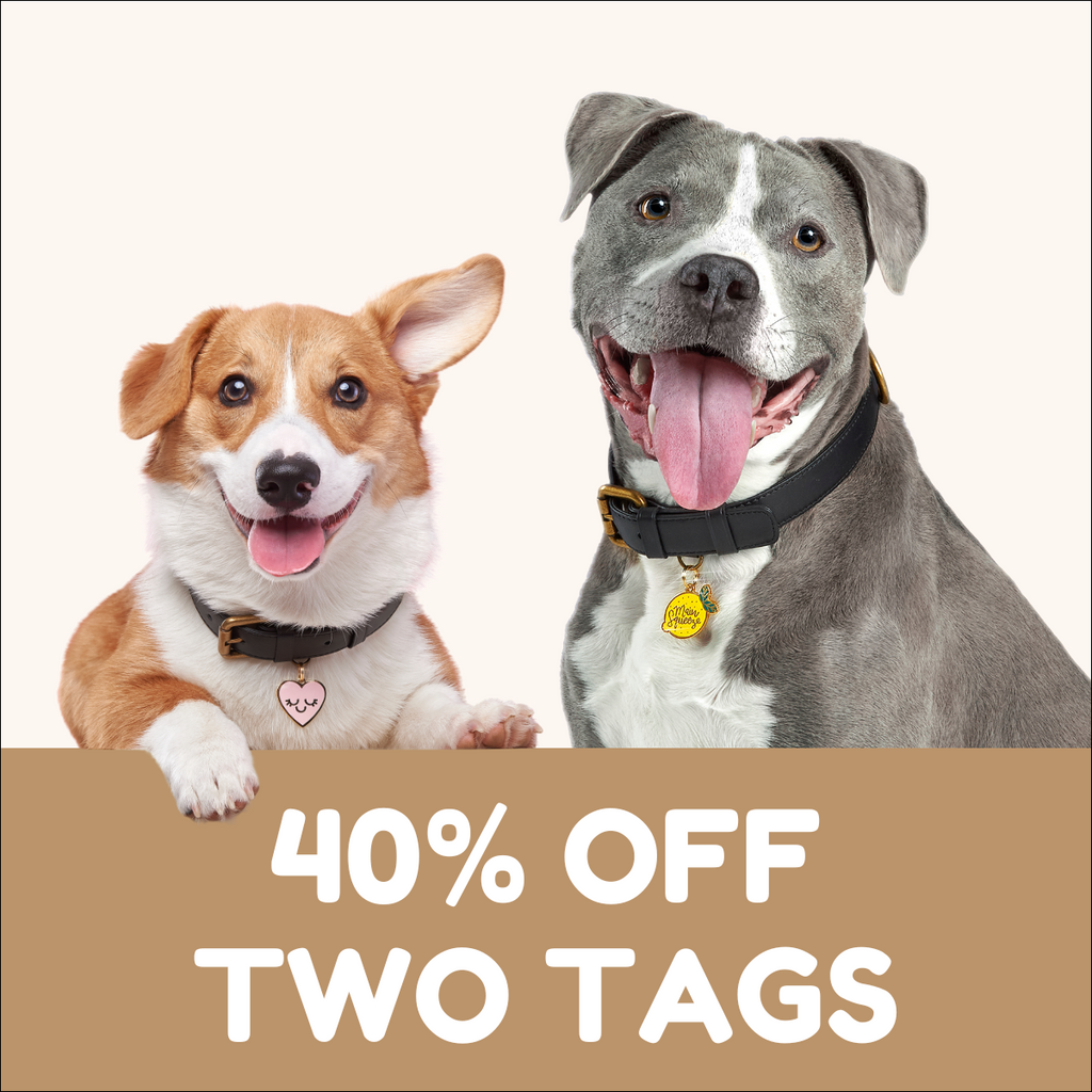 Two Tag Bundle