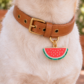 Watermelon Pet ID Tag
