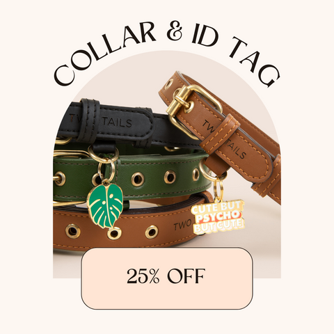 Cactus Leather Collar & ID Tag Bundle