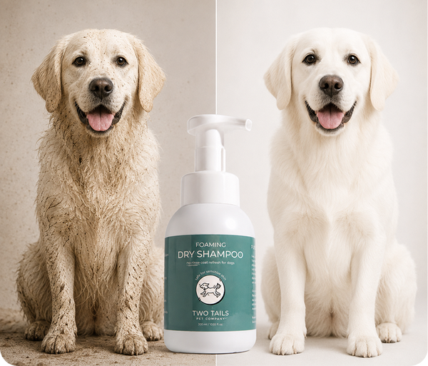 Spa Bundle