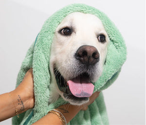 Clean & Dry Pup Bundle