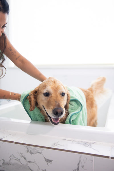 Pet N' Dry Microfiber Towels