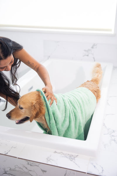 Pet N' Dry Microfiber Towels