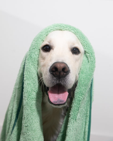 Pet N' Dry Microfiber Towels