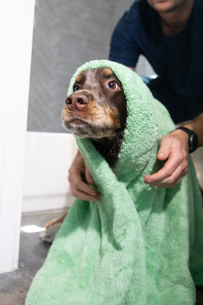 Pet N' Dry Microfiber Towels