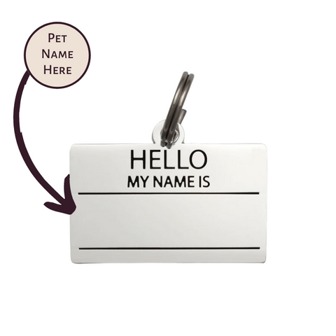 Hello My Name is Blank - Silver - Pet ID Tag