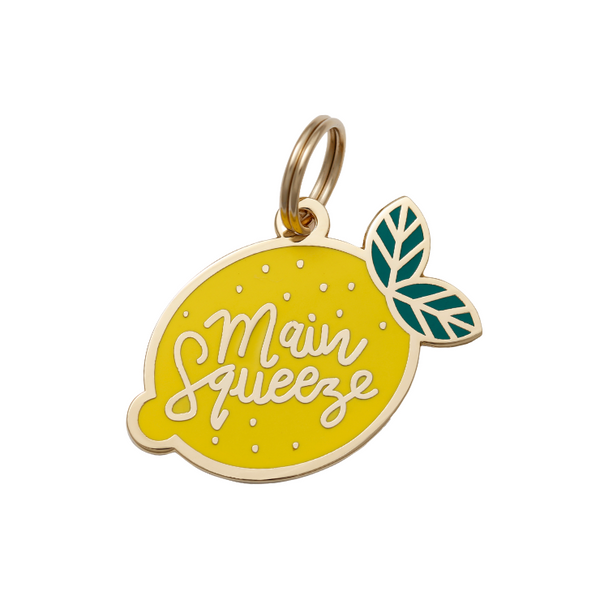 Main Squeeze Pet ID Tag Two Tails Pet Company
