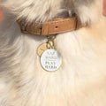 Pet ID tag hanging on a collar worn by a blonde dog. It is made of gold plated brass and white enamel that reads 'Nap Hard, Play Hard'.