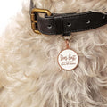 I'm Lost - Mama - Rose Gold & White - Pet ID Tag