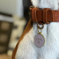 Pet ID tag hanging on a collar worn by a brown and white dog. It is made of gold plated brass and pink enamel that read 'Loyal AF'.