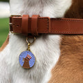 Pet ID tag hanging on a collar worn by a brown and white dog. Made of gold plated brass and blue enamel designed with a dog dressed like Uncle Sam on a quarter that reads 'In dog we trust'.
