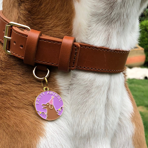 Pet ID tag hanging on a collar worn by a brown and white dog. It is made of gold plated brass and purple enamel that read 'Party Animal' and depicts a dog wearing a party hat.