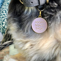 Pet ID tag hanging on a collar worn by a black and blonde dog. Made of gold plated brass and pink enamel, it reads 'Adopt Don't Shop'.