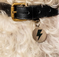 Lightning Bolt - Silver & Black - Pet ID Tag